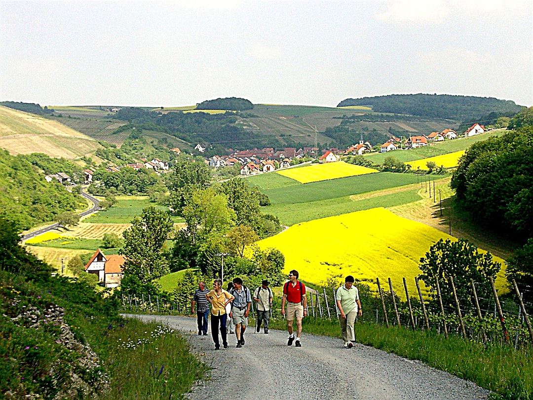 Wein und Natur